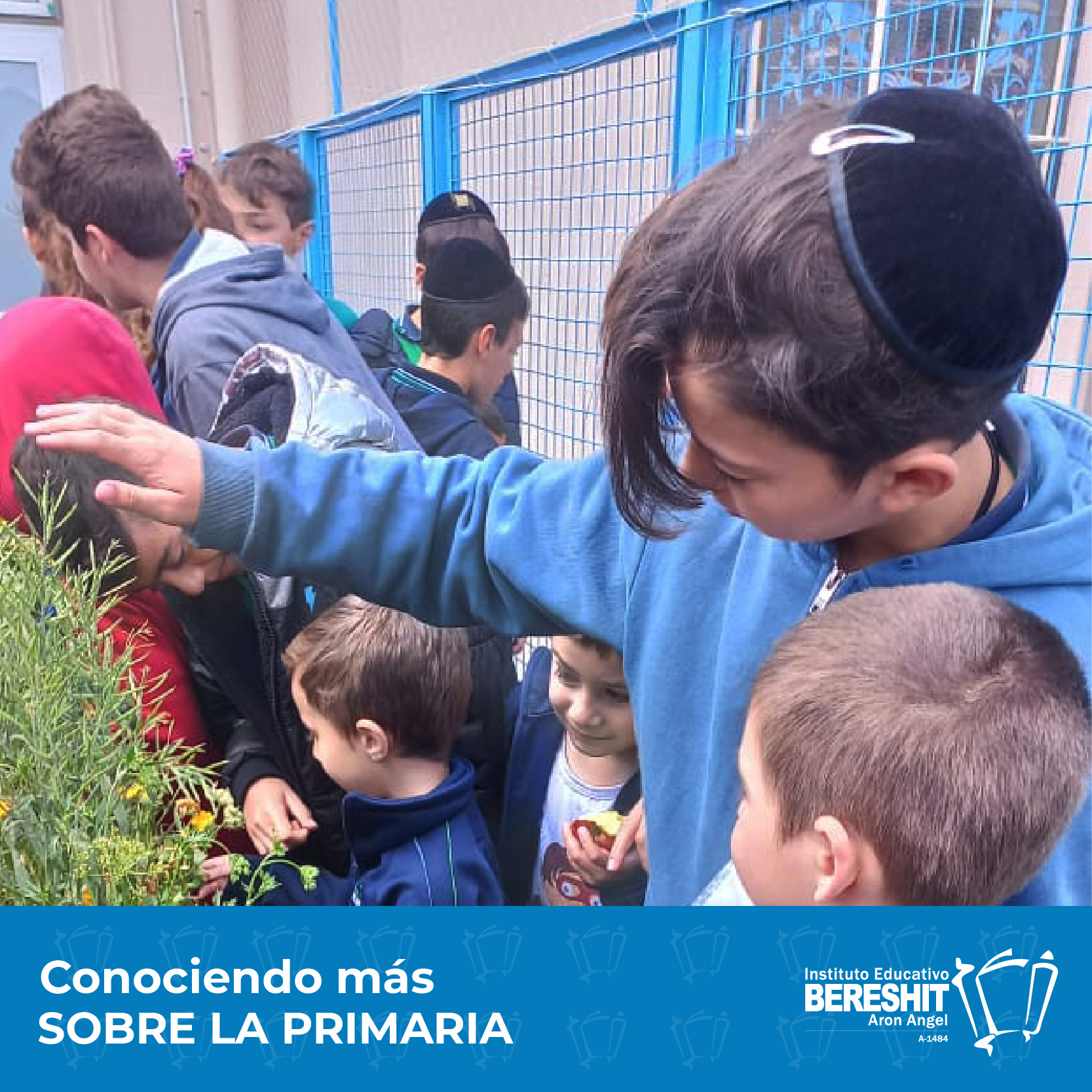 Conociendo la Primaria